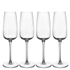 Afina champagneglass 12 cl 4 stk klar