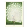 A.P. Atelier poster 30x40 cm peacock