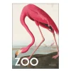 A.P. Atelier poster 30x40 cm the zoo collection  pink flamingo edt. 002