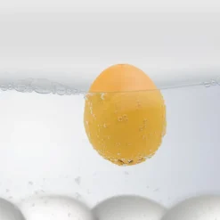 BeepEgg Barnyard eggtimer chicken