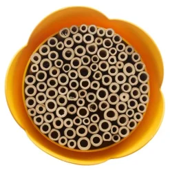 Bihotell 20 cm gul
