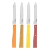 Bon Appetit kniv 22 cm 4 stk citrus