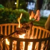Churrasco grillspyd V-form 60 cm stål/oliventre