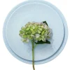 Confetti frokosttallerken 24 cm aqua