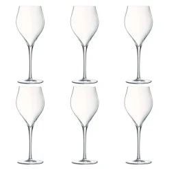 Exaltation champagneglass 30 cl 6 stk