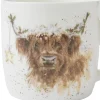 Highland Star kopp 31 cl ku