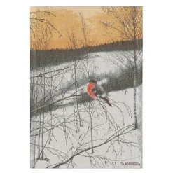 Kjøkkenhåndkle 35x50 cm Dompap