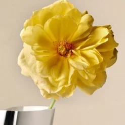 Lituus vase medium 34 cm blank