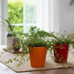 Plant blomsterpotte liten 12x12 cm oransje