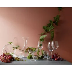 Regina champagneskål 25 cl