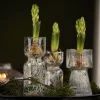 Rette svibelvase 15 cm klar