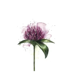 Servietter lunsj 33x33 cm 20 stk kløverblomst