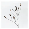 Serviett 33x33 cm blomst valmue