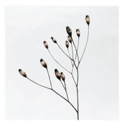 Serviett 33x33 cm blomst valmue