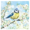 Serviett 33x33 cm 20 stk Blossom Time