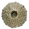 Shellille lysestake 7 cm lin