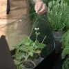 Simply Grow minidrivhus 20x42x32cm svart