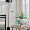 Sofillia gulvlampe 150x28 cm svart