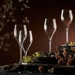 Sontell champagneglass universal 29 cl 6 stk klar