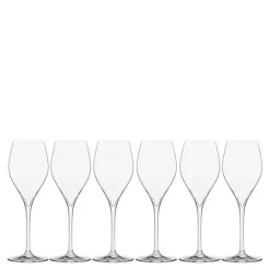 Sontell champagneglass universal 29 cl 6 stk klar