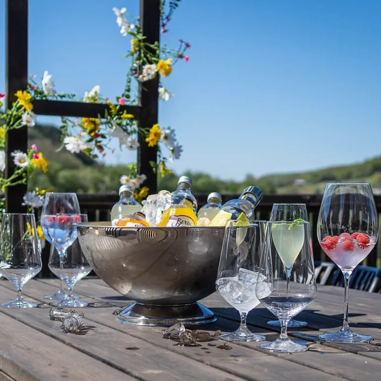Sontell rødvinsglass universal 66 cl 6 stk klar