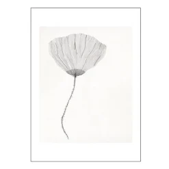 The Poster Club x Ana Frois poster 50x70 cm poppy