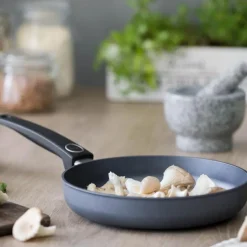 Titanium Induction stekepanne 24 cm