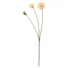 Valmue 75 cm peach
