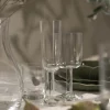 Vera champagneglass 16 cl klar
