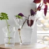 Viva vase 12,5x12x14,5 cm klar